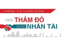 Tuyển dụng nhân viên kinh doanh